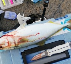 定番ルアーはやっぱり定番だった。