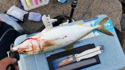 定番ルアーはやっぱり定番だった。