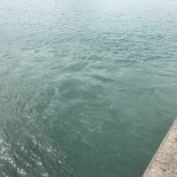 台風前アジング