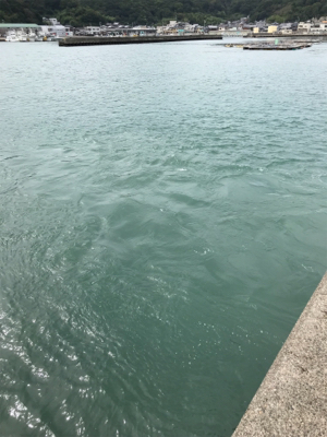 台風前アジング