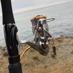 台風前エギング