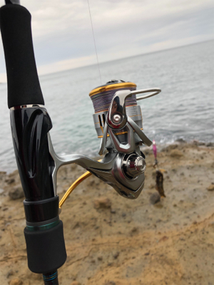 台風前エギング