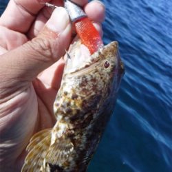 カヤックフィッシング