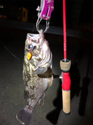 ブラクリ落とし込みにて根魚釣り