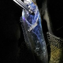 ドラゴンゲット