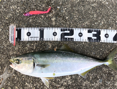 台風後は調子良かったです