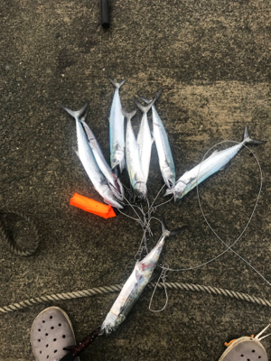 爆風とそれなりに爆釣