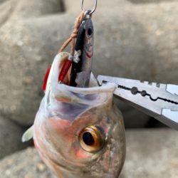 早起きしましたけど！