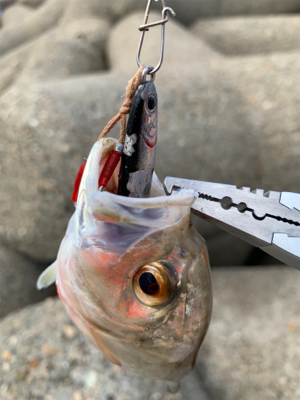 早起きしましたけど！