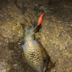 台風前に女神に逢いに♡
