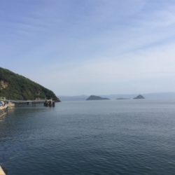 加治木港のチヌ釣り