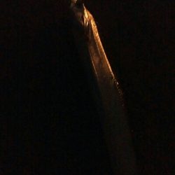 激渋タチウオゲーム