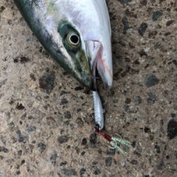 やはり高砂の朝は熱い！