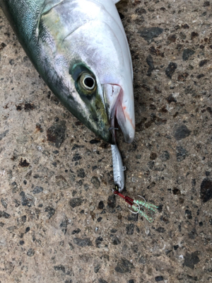 やはり高砂の朝は熱い！