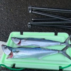 台風後の敦賀新港