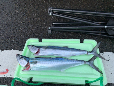 台風後の敦賀新港