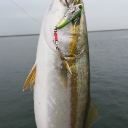 ライトショアジギング