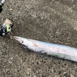 台風明けの太刀魚釣行