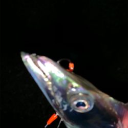 やっぱりテンヤやわ！