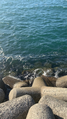 青物あかんかったけどDragonサイズ