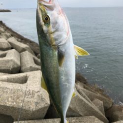 旧日本鋼管ツバスフィーバー