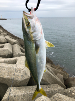 旧日本鋼管ツバスフィーバー
