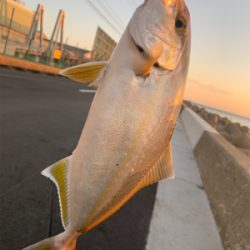 釣り強化合宿にて…