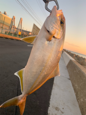 釣り強化合宿にて…