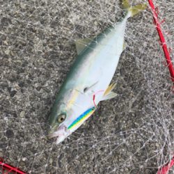 沖堤防でショアジギング