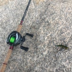 リバーシーバス