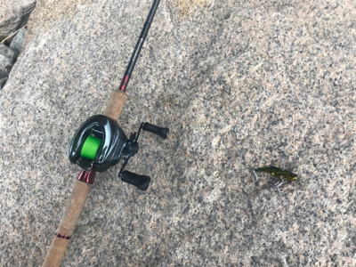 リバーシーバス