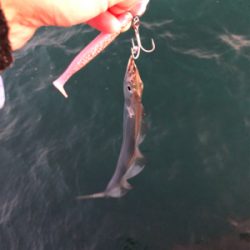 今シーズン1番の冷え込み