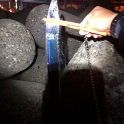 台風のあとで･･･