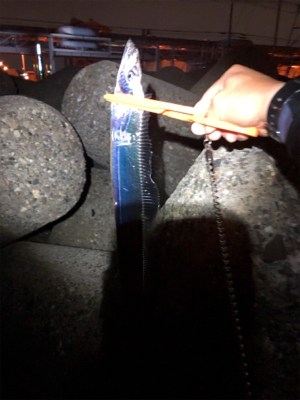 台風のあとで･･･