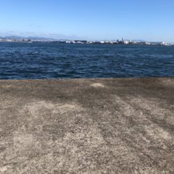 今年初‼️タチウオ❗️