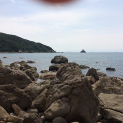 まさかの獲物！