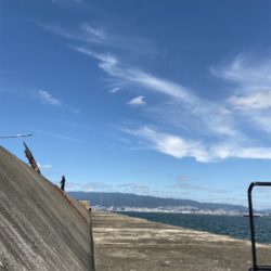 青物はいい感じだがムラありかな