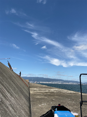 青物はいい感じだがムラありかな