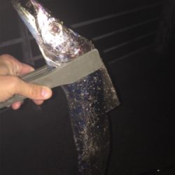 なんとかボウズ逃れ