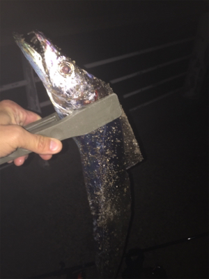 なんとかボウズ逃れ