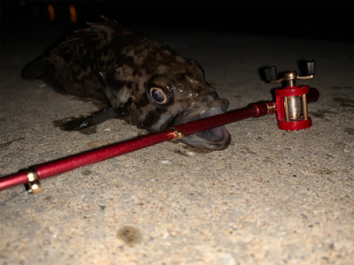 ガチャガチャの釣り竿にて
