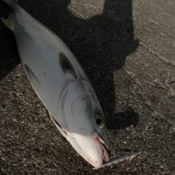 リミットメイク