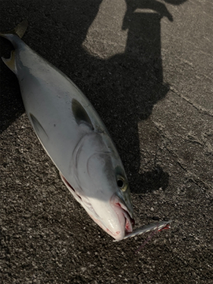 リミットメイク