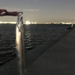 泣きの一投で…