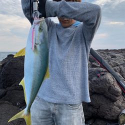 夜にエギング   朝はショアジギ