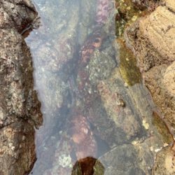 うねりがすごい