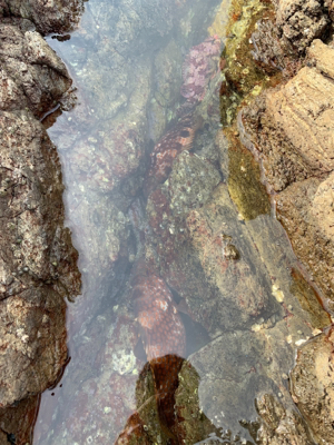 うねりがすごい