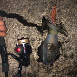 粘って何とか、、