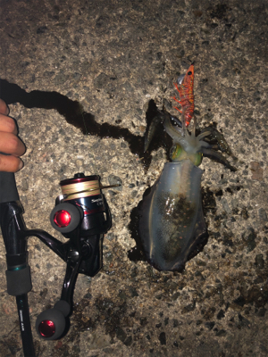 粘って何とか、、