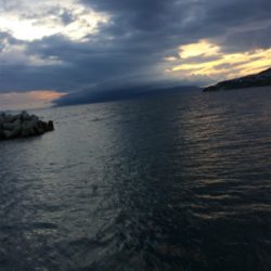 雨のなかエギング